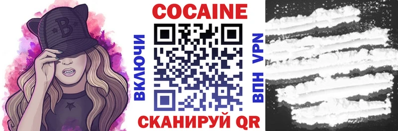 Купить  Чаплыгин  COCAIN Боливия