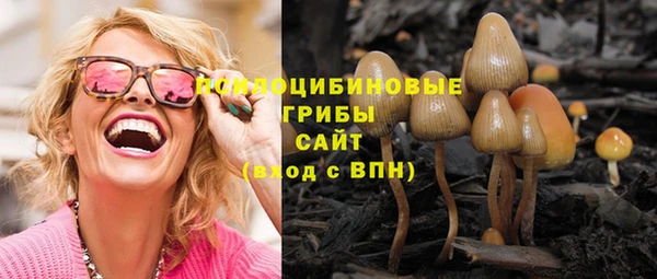 прущая мука Осинники
